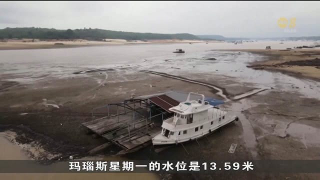 天气持续干旱 巴西亚马逊河水位跌到一个世纪以来最低水平