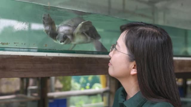 活龟鳖博物馆筹得逾5万元 馆方：很感动