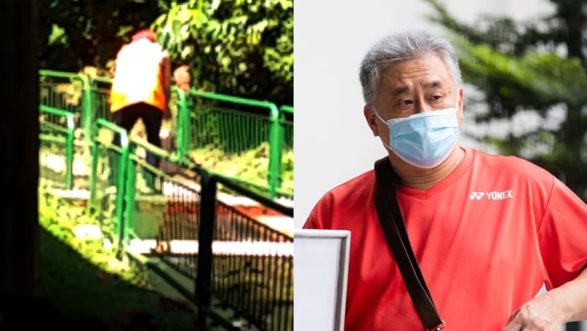 S$11,000 fine for man caught on video dropping dog into canal at Upper Peirce Reservoir Park