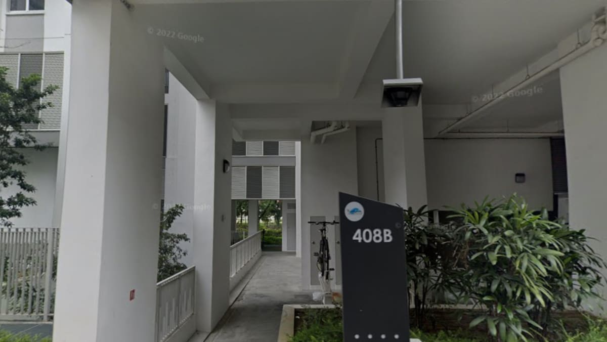 Two people found dead in Punggol HDB flat; case classified as unnatural death