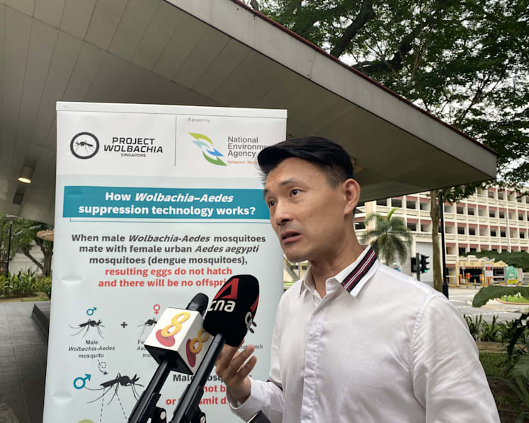 70% drop in weekly dengue cases since May peak, but NEA urges vigilance even as numbers fall