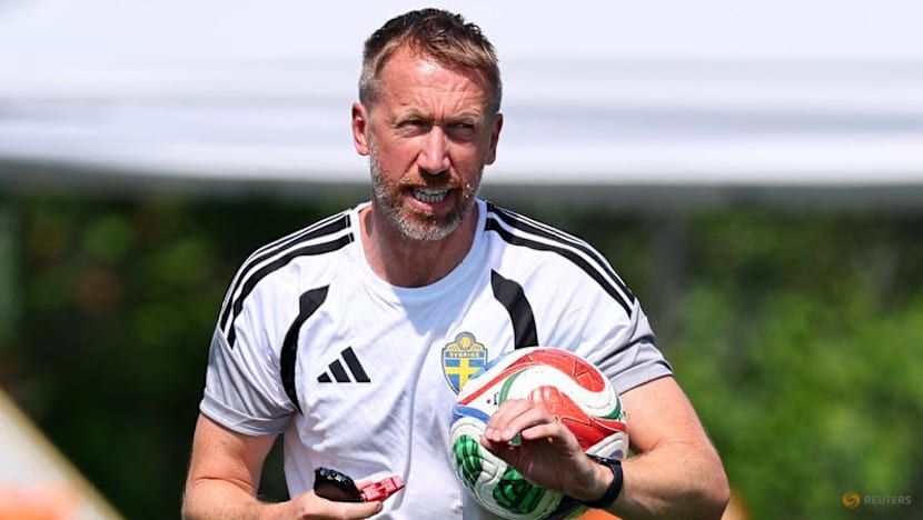 Weaknesses hard to find in France defence, says Sweden coach Potter