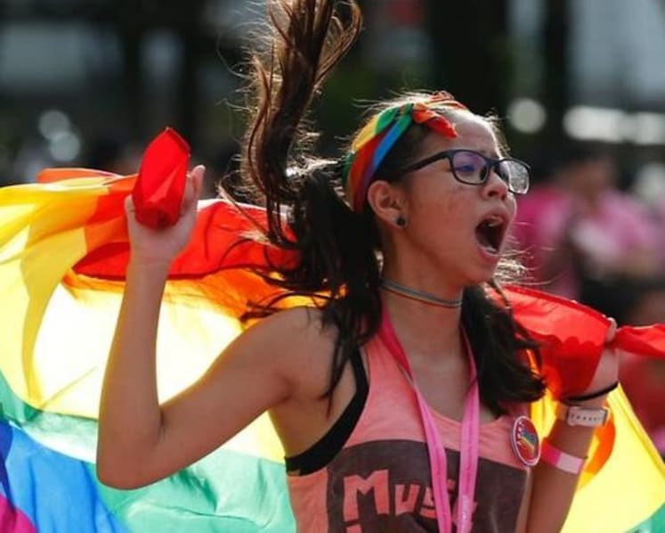 Commentary: On homosexuality and cohabitation - differences on moral issues need not lead to polarised society