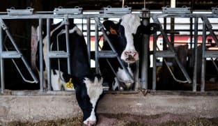 US AgTech capital drought continues, dairy and solar sectors offer bright spots