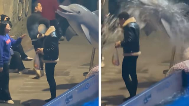 男子海洋馆池边抽烟不听劝　白鲸喷水“一击灭火”爆红