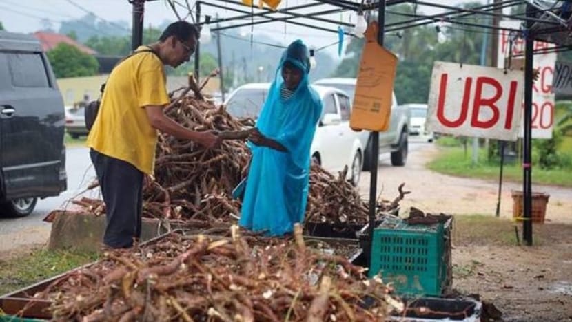 Musim banjir bawa tuah rezeki kepada peniaga ubi; 500-700kg ubi terjual setiap hari!