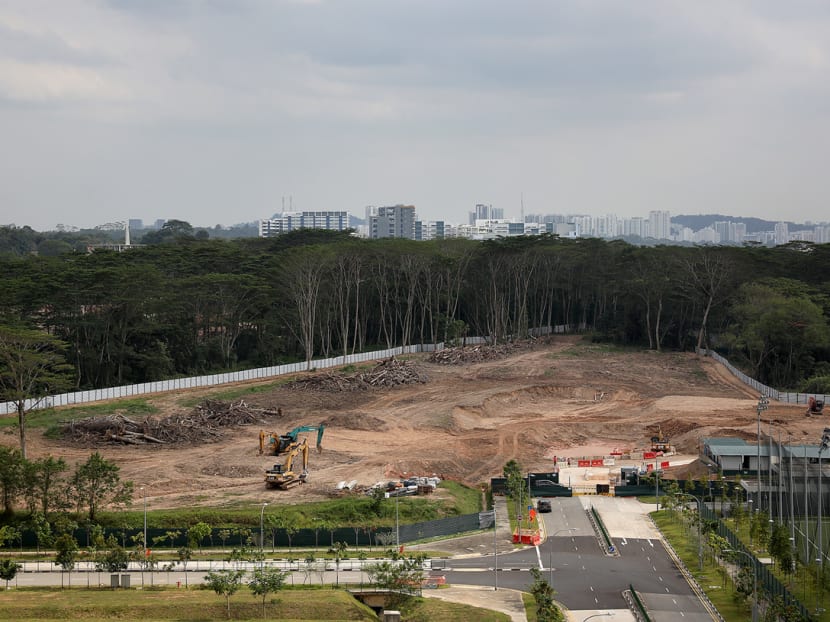 An aerial view on Feb 17, 2021 of a forest parcel in Kranji that JTC said its contractor had “erroneously” begun deforesting. An aerial view on Feb 17, 2021 of a forest parcel in Kranji that JTC said its contractor had “erroneously” begun deforesting.