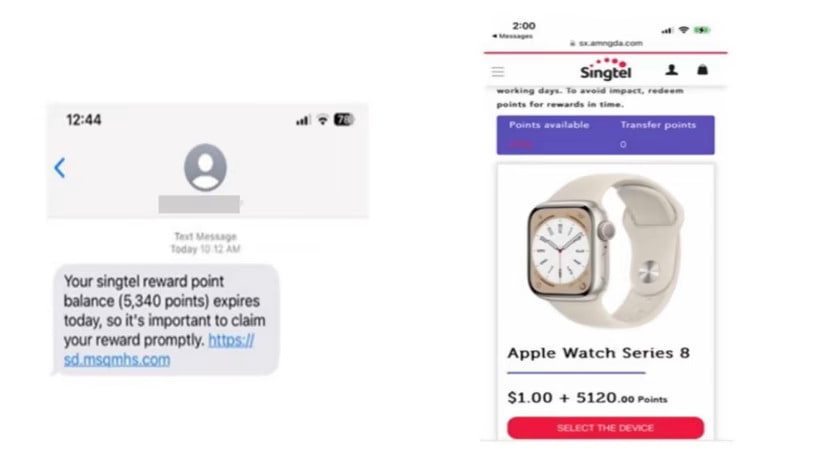 At least S$20,000 lost to fake Singtel SMS phishing scams since June: Police