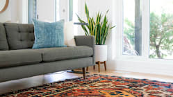 Related article image