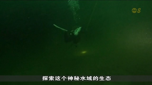 芬兰学院开办特别课程 教科研人员如何潜入冰下执行任务