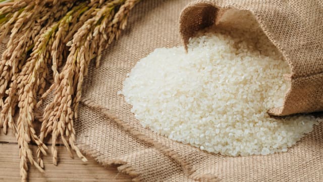 称存放十年稻米无食安疑虑 泰国政府拟释出贩售