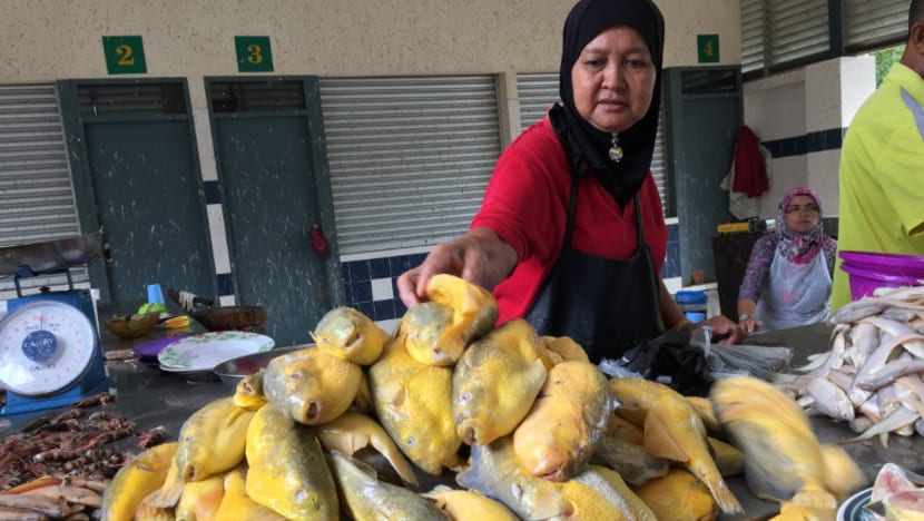 Ikan buntal beracun jadi hidangan lazat