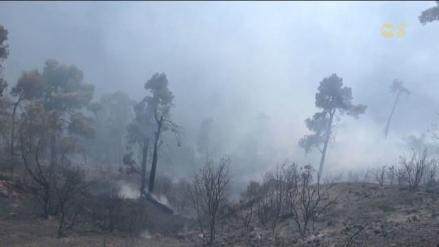 研究：全球空气污染加剧 美加森林野火导致空气质量恶化