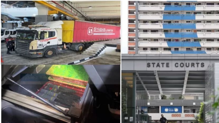 Pet shop owner linked to Singapore's largest bird-smuggling operation gets jail Pet shop owner linked to Singapore's largest bird-smuggling operation gets jail