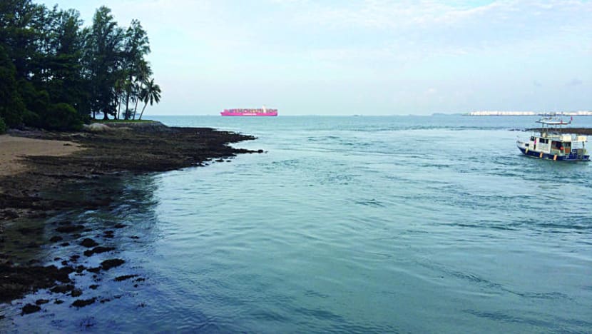 Sisters’ Islands Marine Park to be conservation site