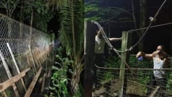 Related article image