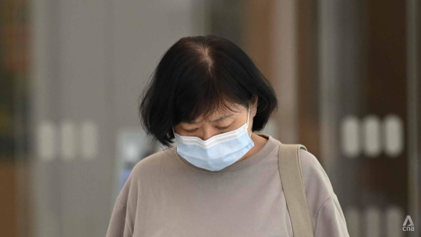 'Recalcitrant' woman fined S$9,000 for feeding pigeons 17 times after previous conviction