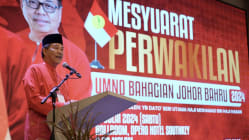 Related article image