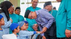 Related article image