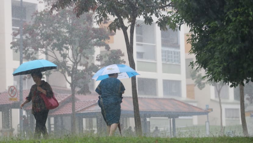 Thundery showers expected in first half of January 2021: Met Service