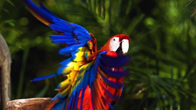 Related article image