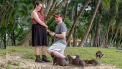 Related article image