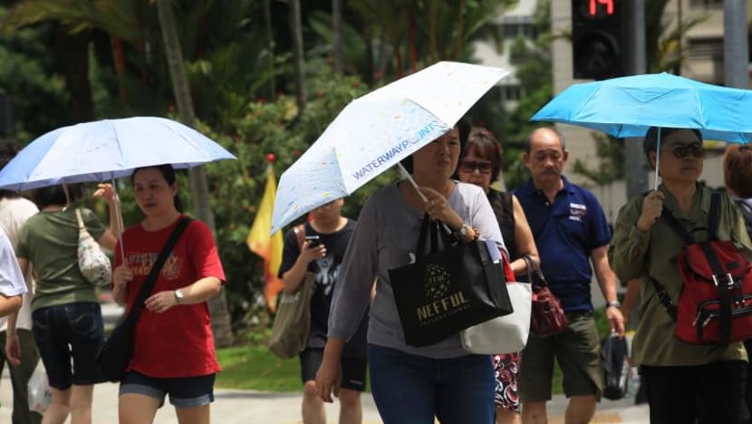2018 was 8th warmest year on record for Singapore