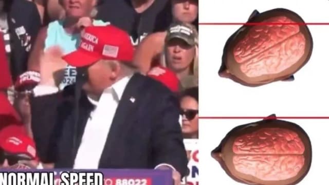 千钧一发之际躲过了子弹 特朗普：正好转头看这张图表