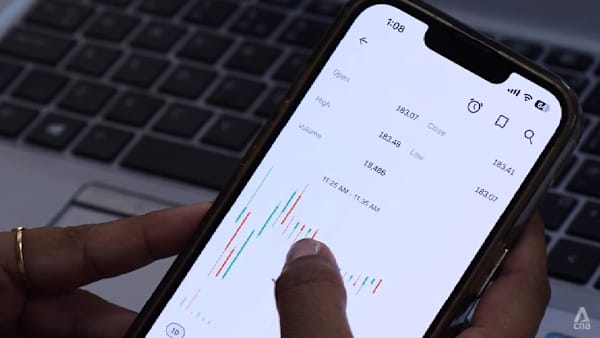 channelnewsasia.com - Rebecca Bundhun - India's retail investor boom draws millions into stock market, but experts warn of risks