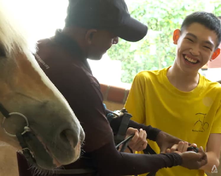How animals are changing mental health care for some in Singapore