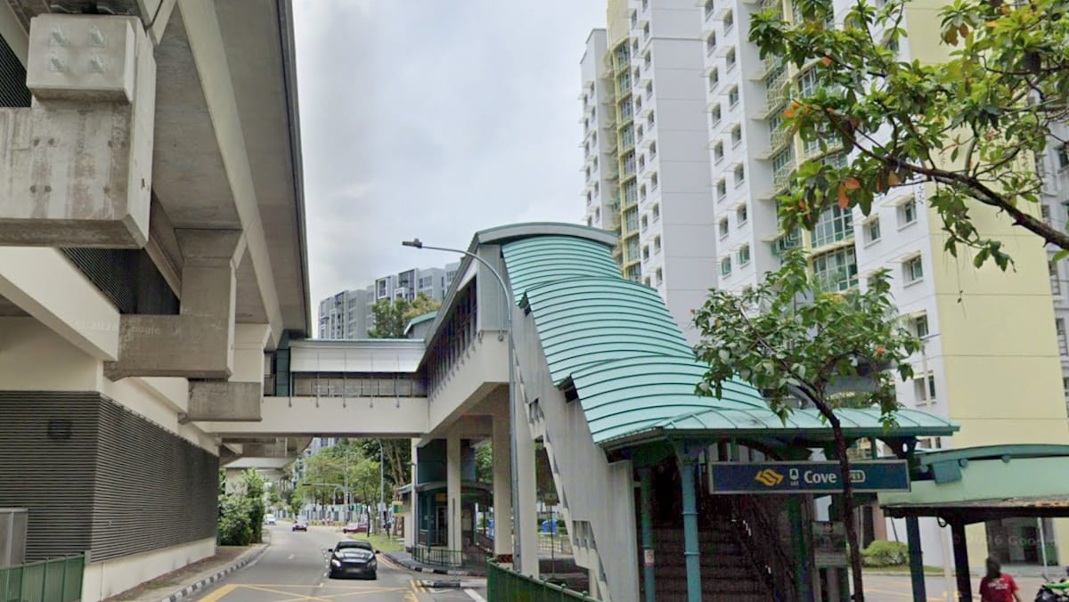 Teen investigated for allegedly throwing bag of ice cream off Cove LRT platform