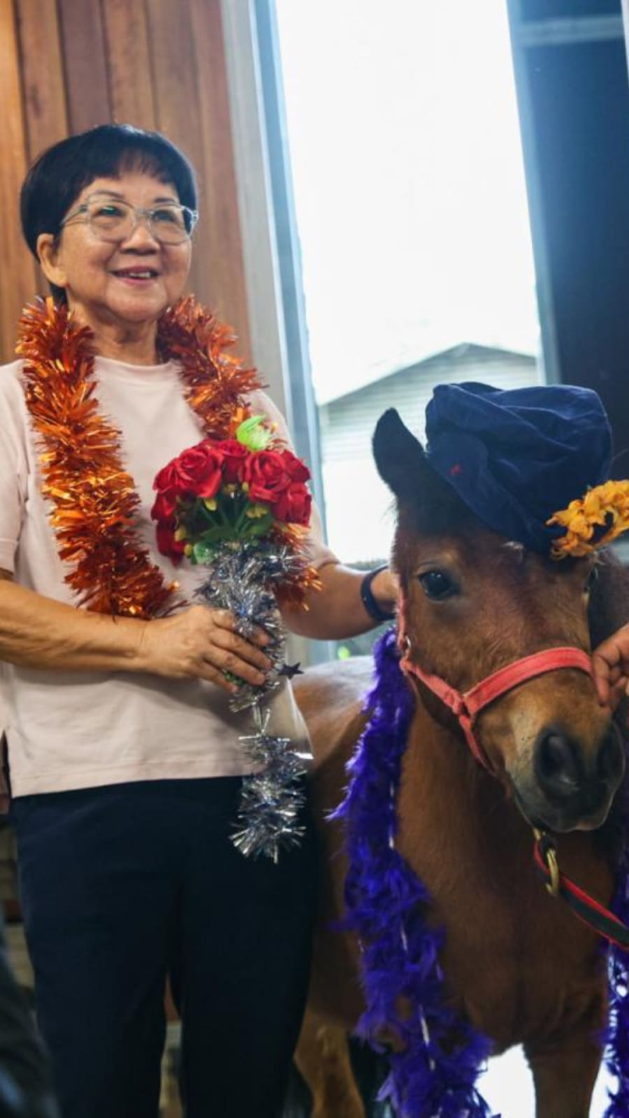 From fear to friendship: Seniors find confidence through horses