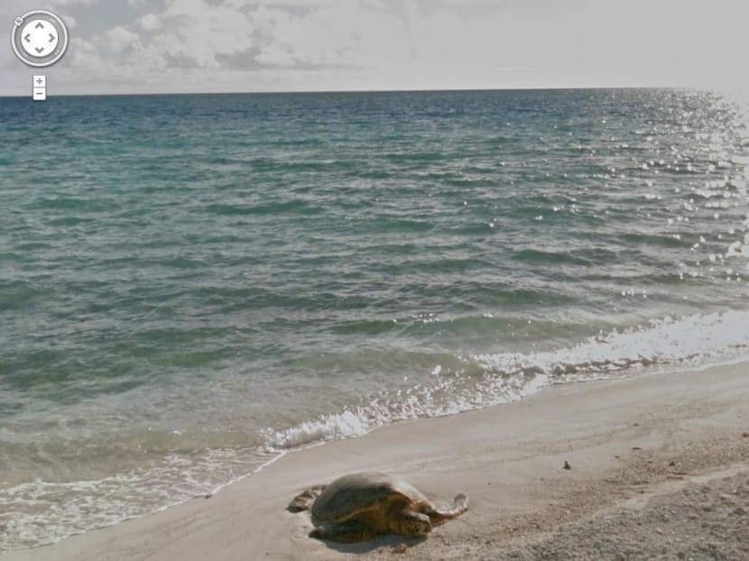 Google Street View goes to Antarctica