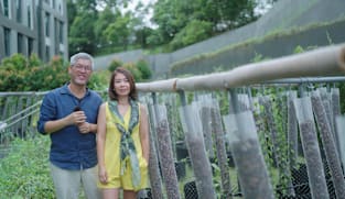 Pioneer Vanilla Farmers