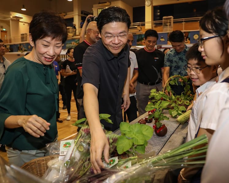 Behind-the-scenes tours, night walks: Hundreds of activities launched to rally S'pore residents to go green