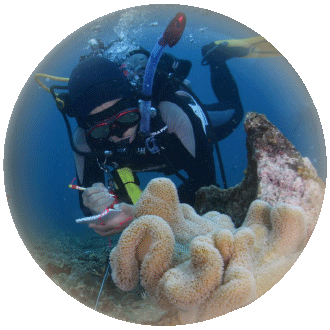 风华60 - 城市好去处