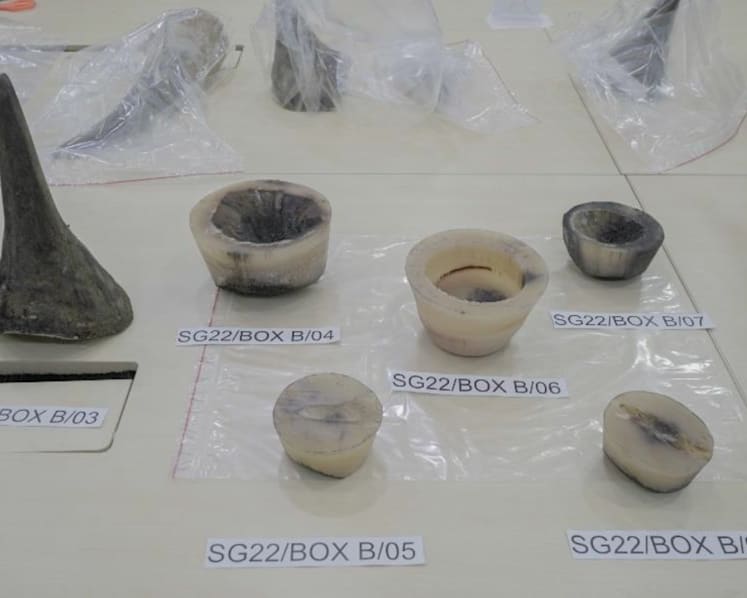 Man charged with taking 34kg of rhino horns into Singapore from South Africa
