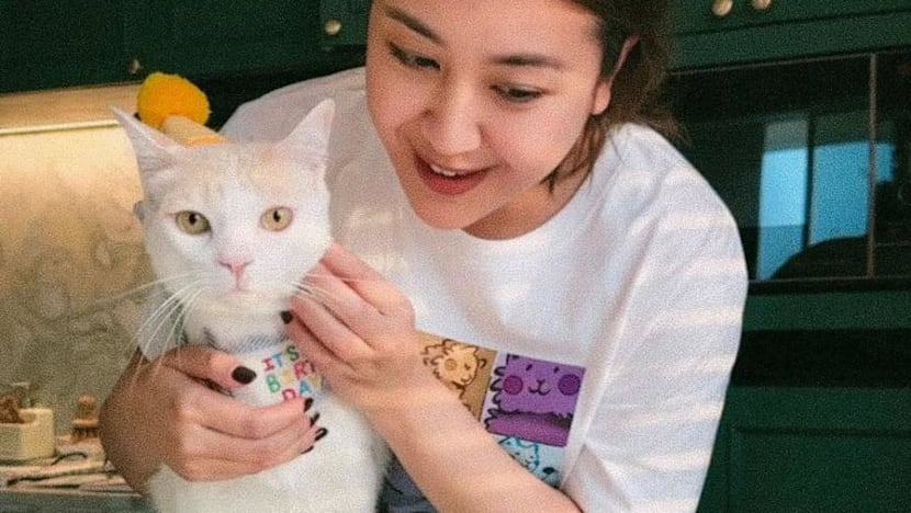 Kembalikan 5 kucing Uya Kuya, ini pesan haru dari Sherina