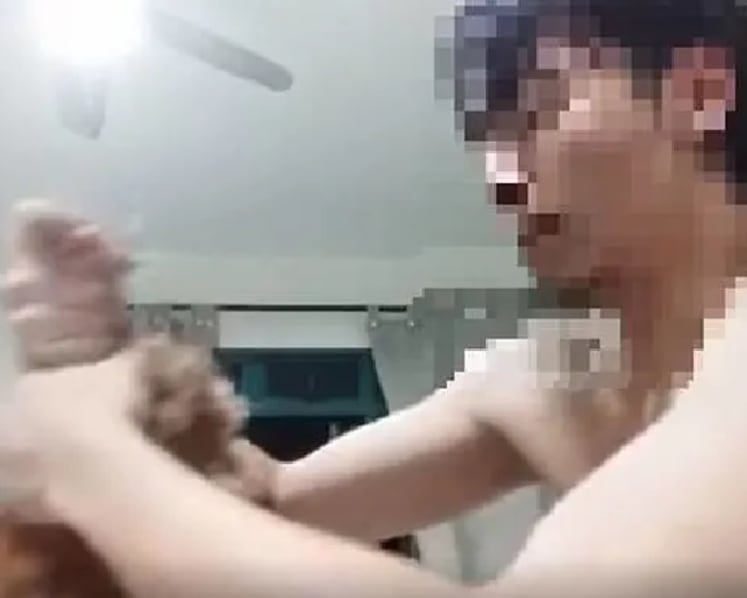 Investigations launched after videos of dog being repeatedly beaten circulate online; man in video identified