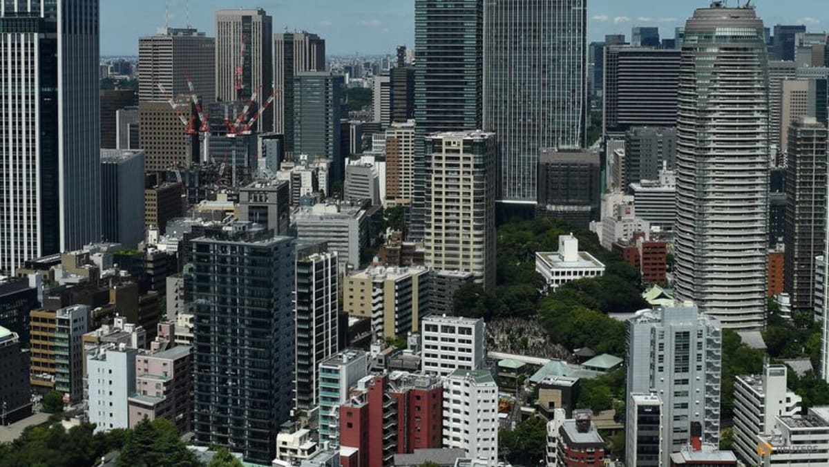 Analysis:Japan governance reforms set to prise ope
