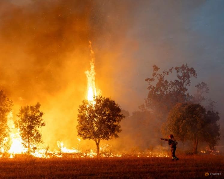 France, Spain assess scorched terrain as new wildfires threaten other regions