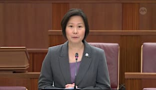 Gan Siow Huang on installing solar panels amid energy uncertainty