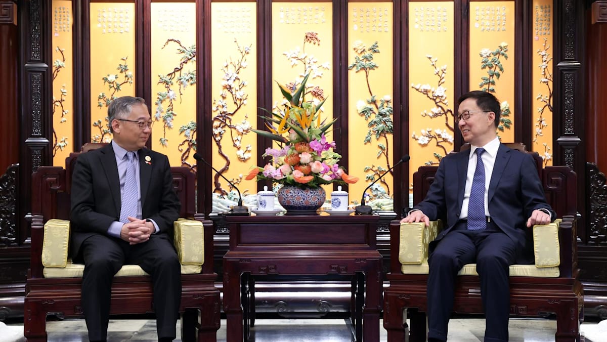 Singapore, China reaffirm commitment to boost economic partnership, trade flows