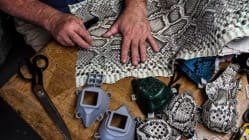 Related article image