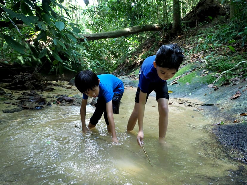 Two young participants explore a stream during an outdoor education programme held by Forest School Singapore at Rifle Range Nature Park on Sept 13, 2018. Two young participants explore a stream during an outdoor education programme held by Forest School Singapore at Rifle Range Nature Park on Sept 13, 2018.