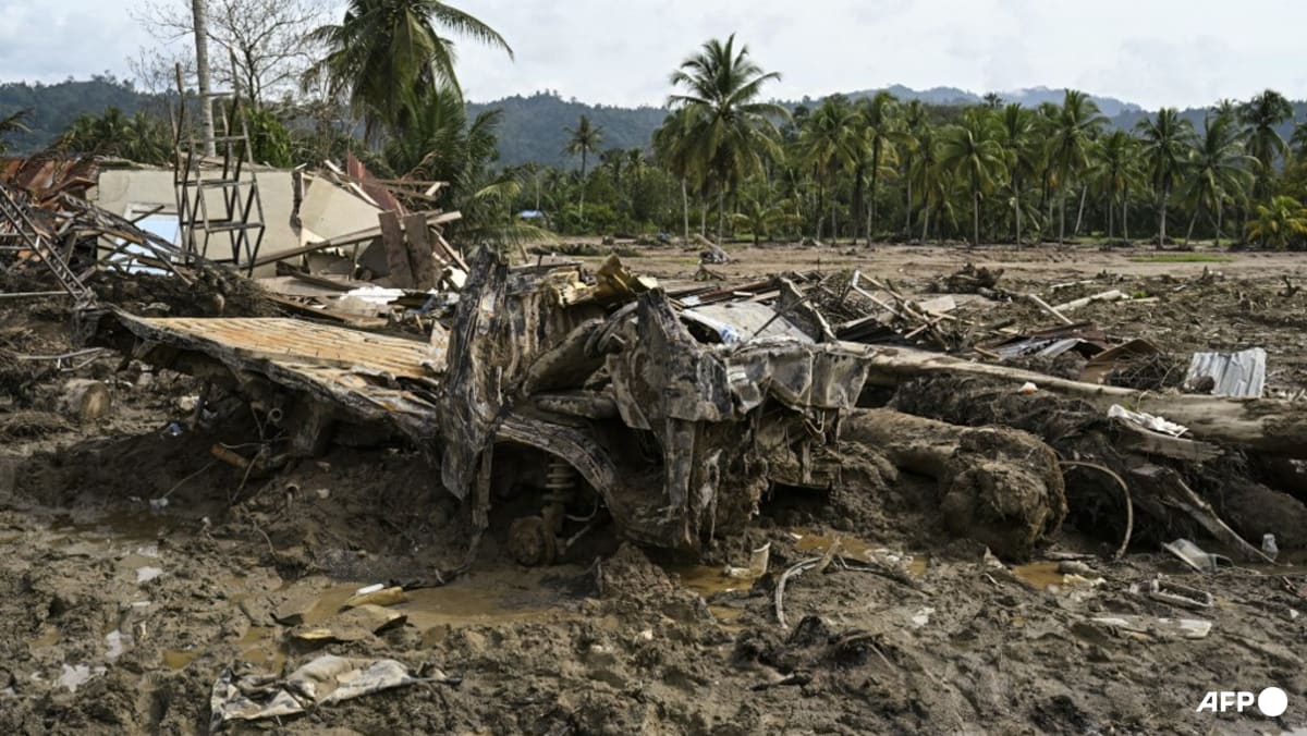 Indonesia revokes permits of 28 firms after deadly floods