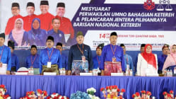 Related article image