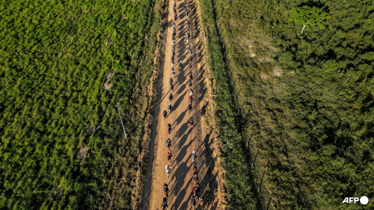 Brazil hopes COP30 in Amazon can unite world for climate action