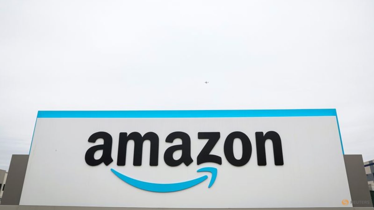Amazon faces union vote at North Carolina warehouse - CNA