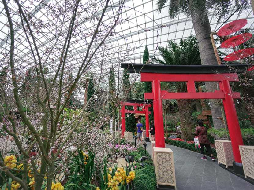 Photo: Gardens by the Bay